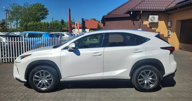Lexus NX cena 138900 przebieg: 49474, rok produkcji 2019 z Kraśnik małe 781